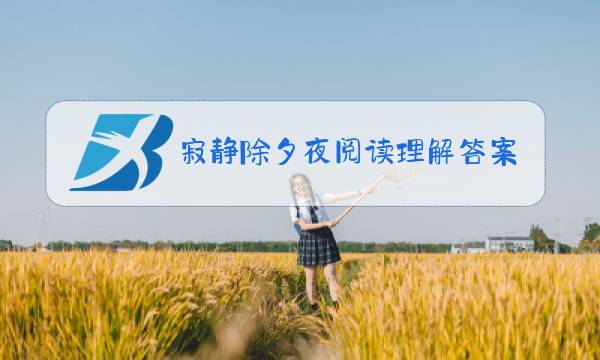 寂静除夕夜阅读理解答案图片