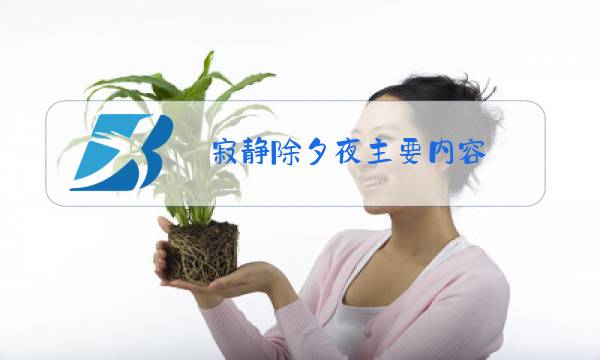 寂静除夕夜主要内容图片