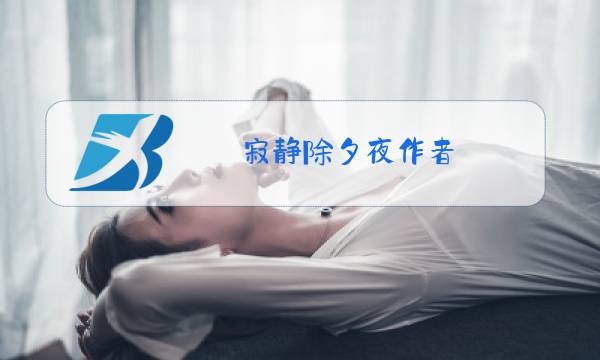 寂静除夕夜作者图片