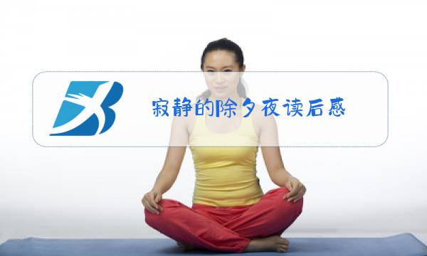 寂静的除夕夜读后感图片