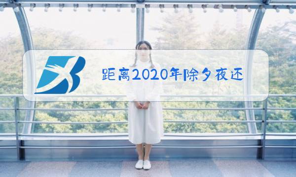 距离2020年除夕夜还有多少天?图片
