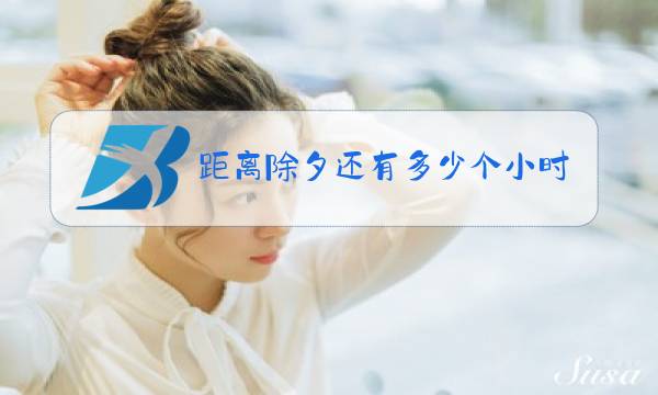 距离除夕还有多少个小时图片