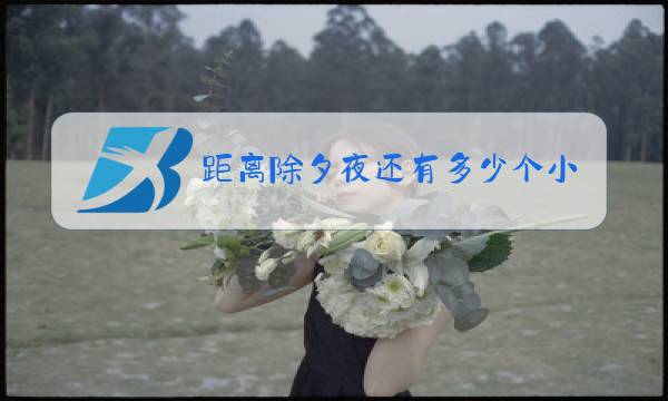 距离除夕夜还有多少个小时图片