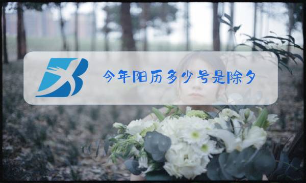 今年阳历多少号是除夕图片