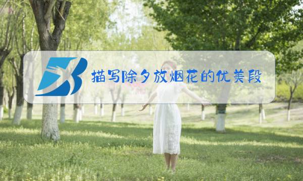描写除夕放烟花的优美段落图片