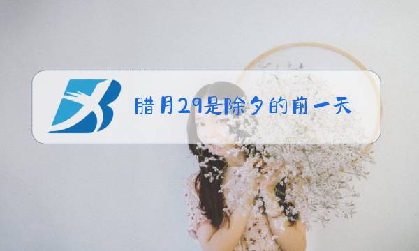 腊月29是除夕的前一天吗图片