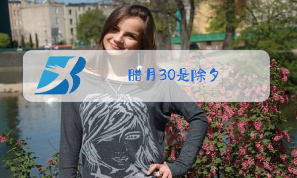 腊月30是除夕图片