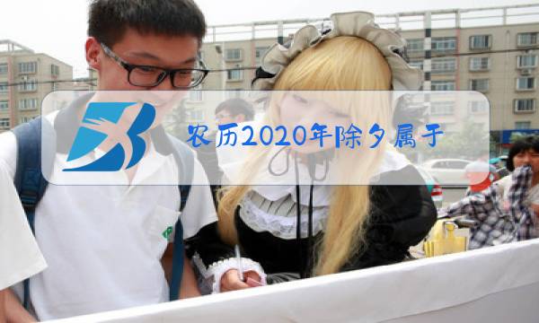 农历2020年除夕属于地支什么日子图片