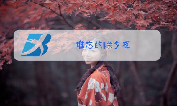 难忘的除夕夜图片