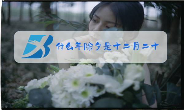 什么年除夕是十二月二十九图片