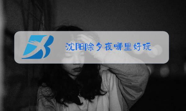 沈阳除夕夜哪里好玩图片