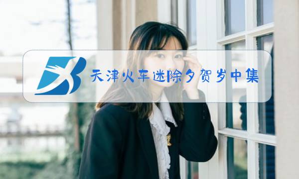 天津火车迷除夕贺岁中集图片