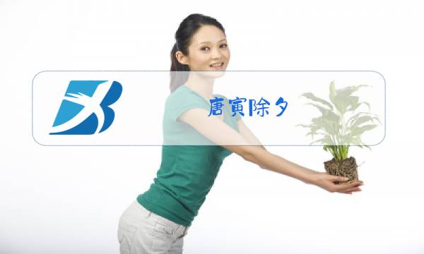 唐寅除夕图片