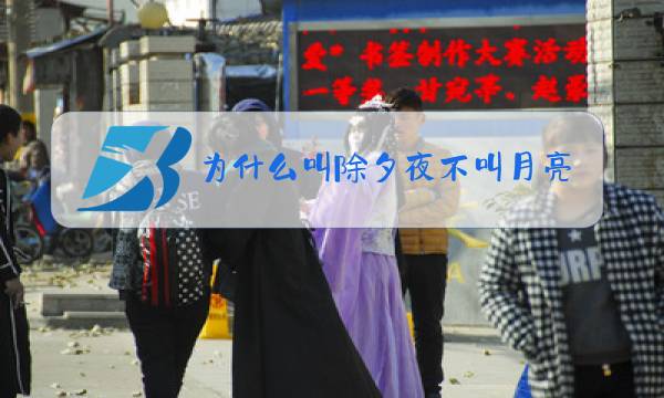 为什么叫除夕夜不叫月亮夜图片