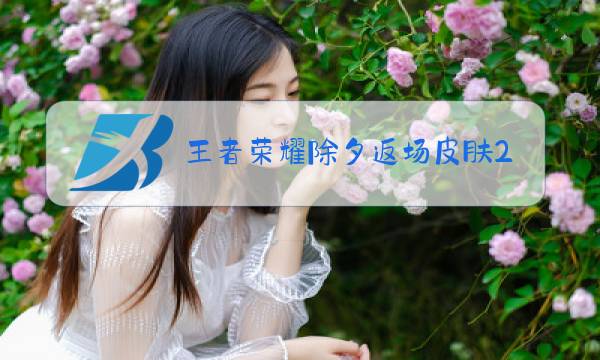 王者荣耀除夕返场皮肤2021图片