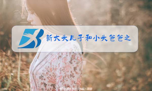 新大头儿子和小头爸爸之除夕白夜城央视网视频图片