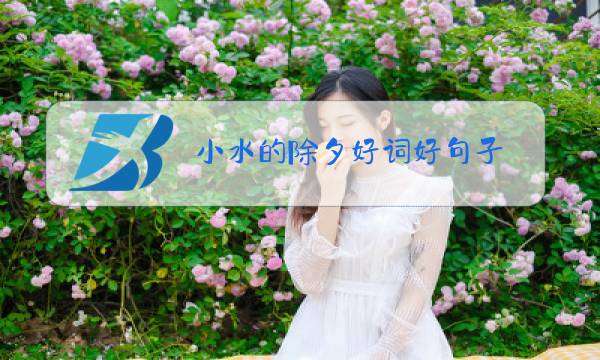 小水的除夕好词好句子图片