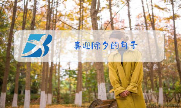 喜迎除夕的句子图片