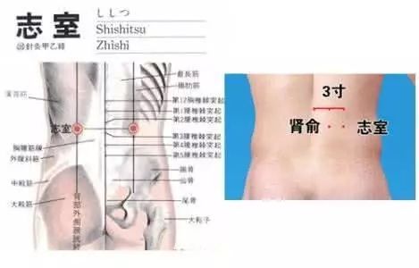 艾灸对男性有什么好处