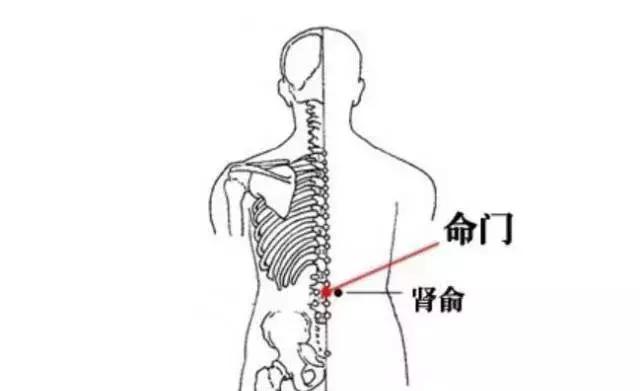 累,是生病的前兆!预防累必灸七穴位!