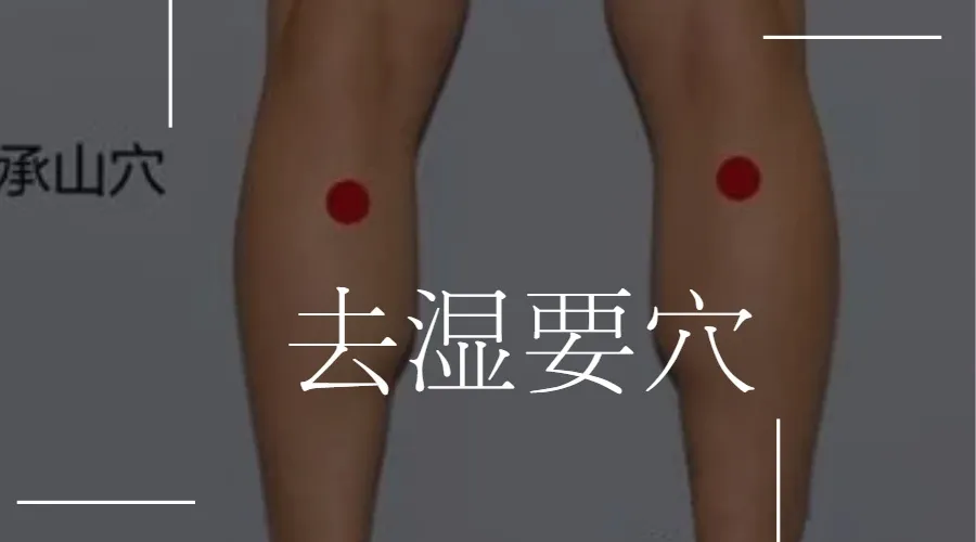 艾灸一个穴＂祛湿＂超管用,还能防止小腿抽筋