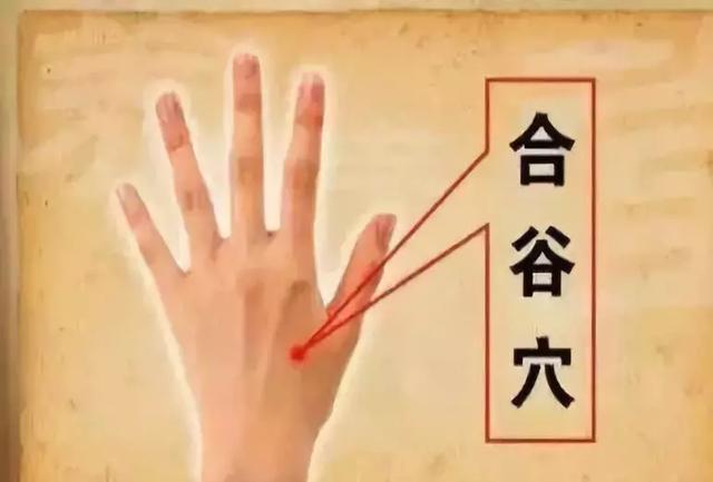 艾灸疗法精髓:上病下治左病右治阴阳调和