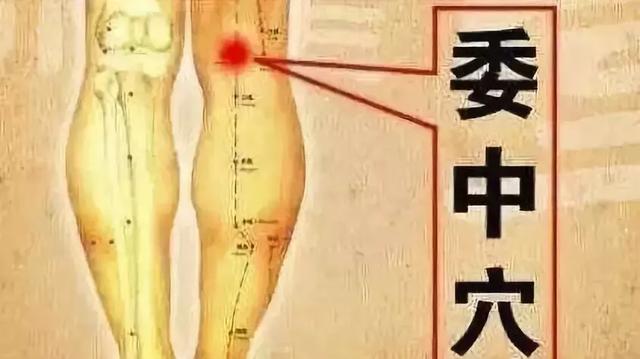 艾灸疗法精髓:上病下治左病右治阴阳调和