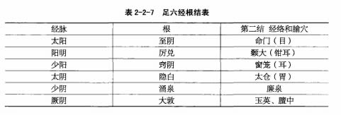 中篇第一章:经络的根结、标本与气街、四海