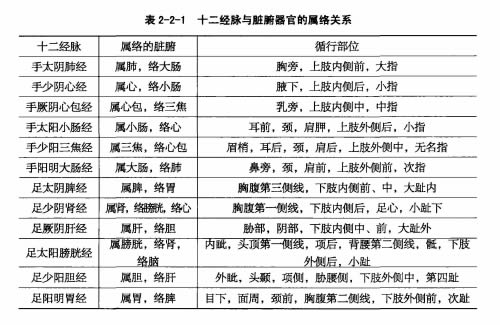 中篇第一章中医基础理论:经络系统的组成
