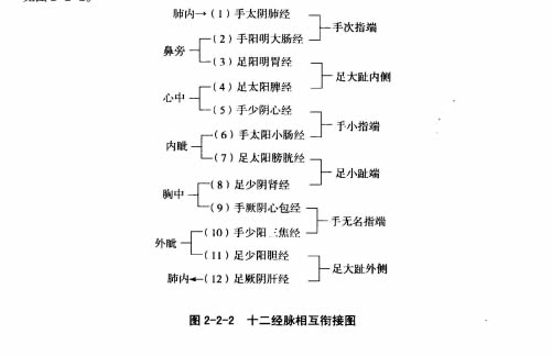 中篇第一章中医基础理论:经络系统的组成