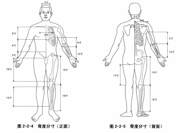 骨度折量