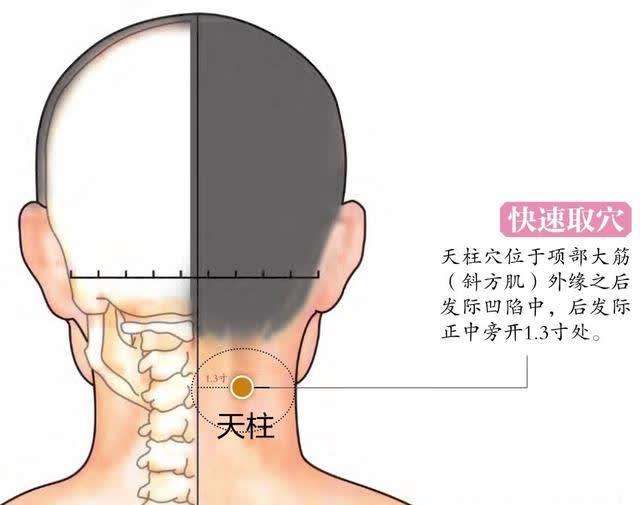天柱穴
