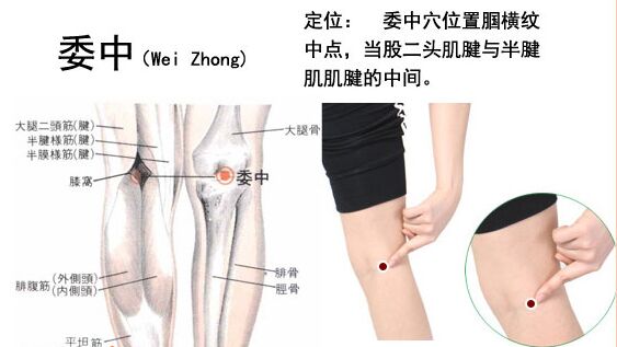 做艾灸要善用八个穴位