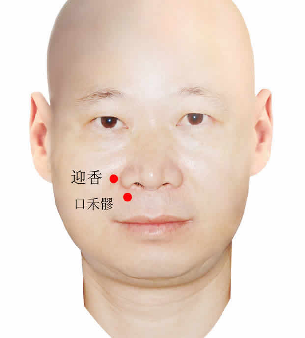 鼻炎艾灸穴位图治疗鼻炎