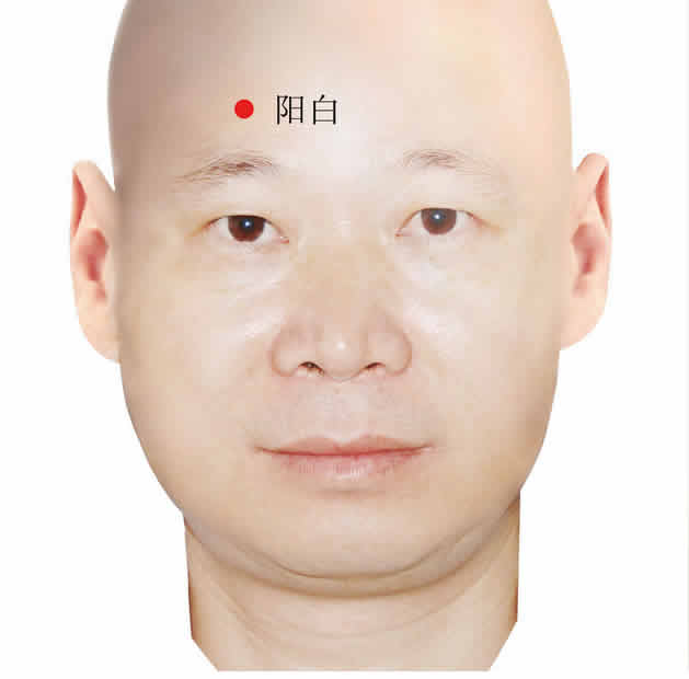 鼻炎艾灸穴位图治疗鼻炎