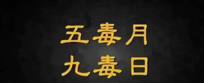 五毒月九毒日,艾草这样用起来!