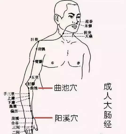 五毒月九毒日,艾草这样用起来!
