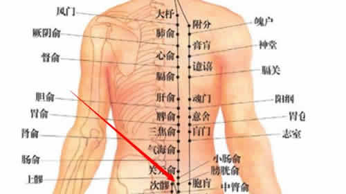 膀胱俞穴_膀胱俞穴位