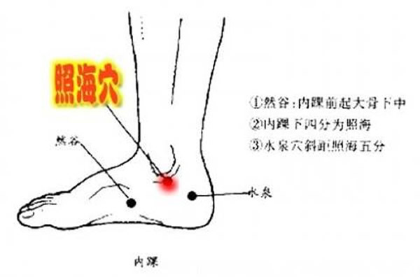照海穴的准确位置图_照海穴