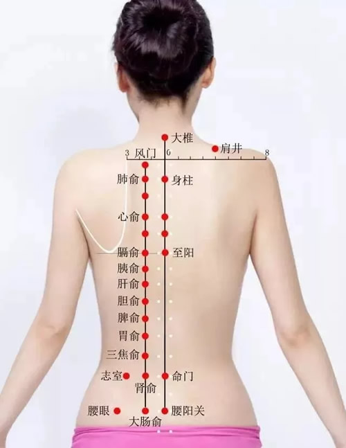 一生艾灸好这四次,百病难沾身!