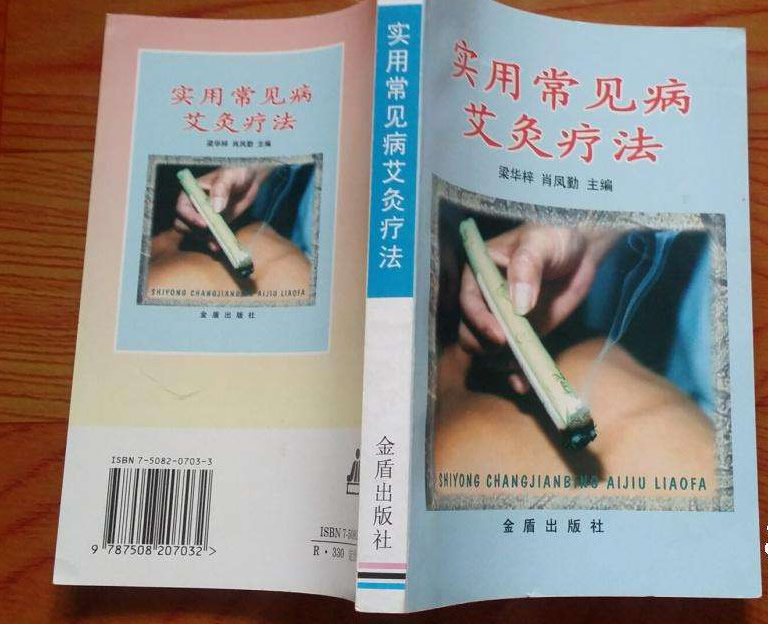 实用常见病艾灸疗法