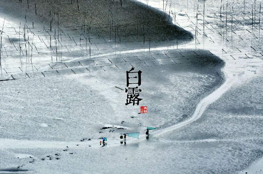 二十四节气灸穴位艾灸疗法