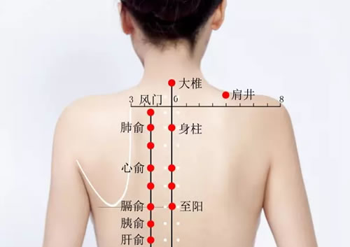 肩膀痛怎么办?拔罐后艾灸即可治疗