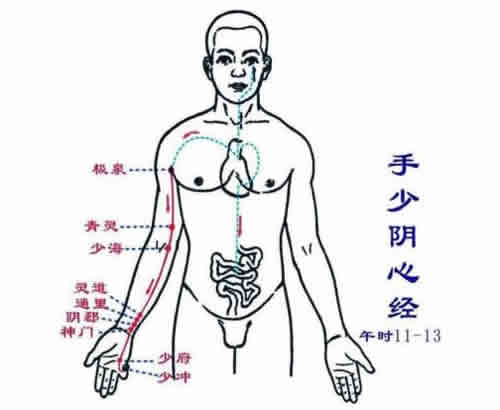 中篇第一章:经络腧穴各论手少阴心经