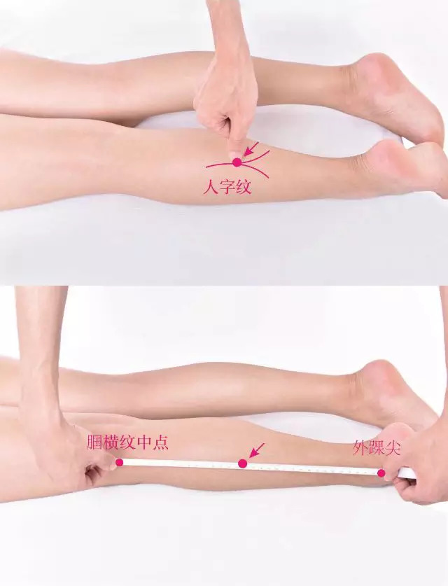 承山穴_承山的准确位置图