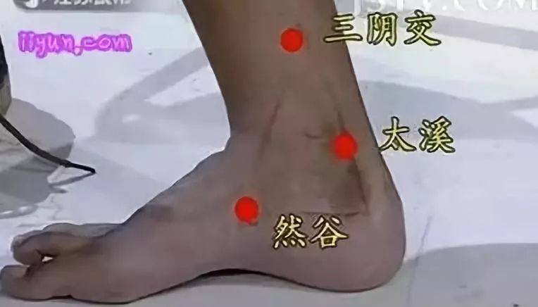 艾灸足三里的功效