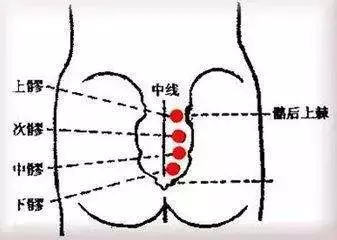 艾灸腹股沟,能让胖人变瘦\瘦人变胖!
