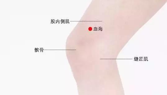 艾灸美容功效强,艾灸这几个穴位省下几十万美容