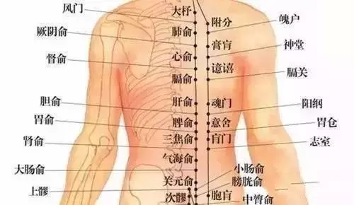 腰背部疼痛艾灸委中穴位图