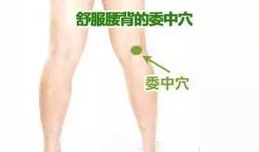 腰背部疼痛艾灸委中穴位图
